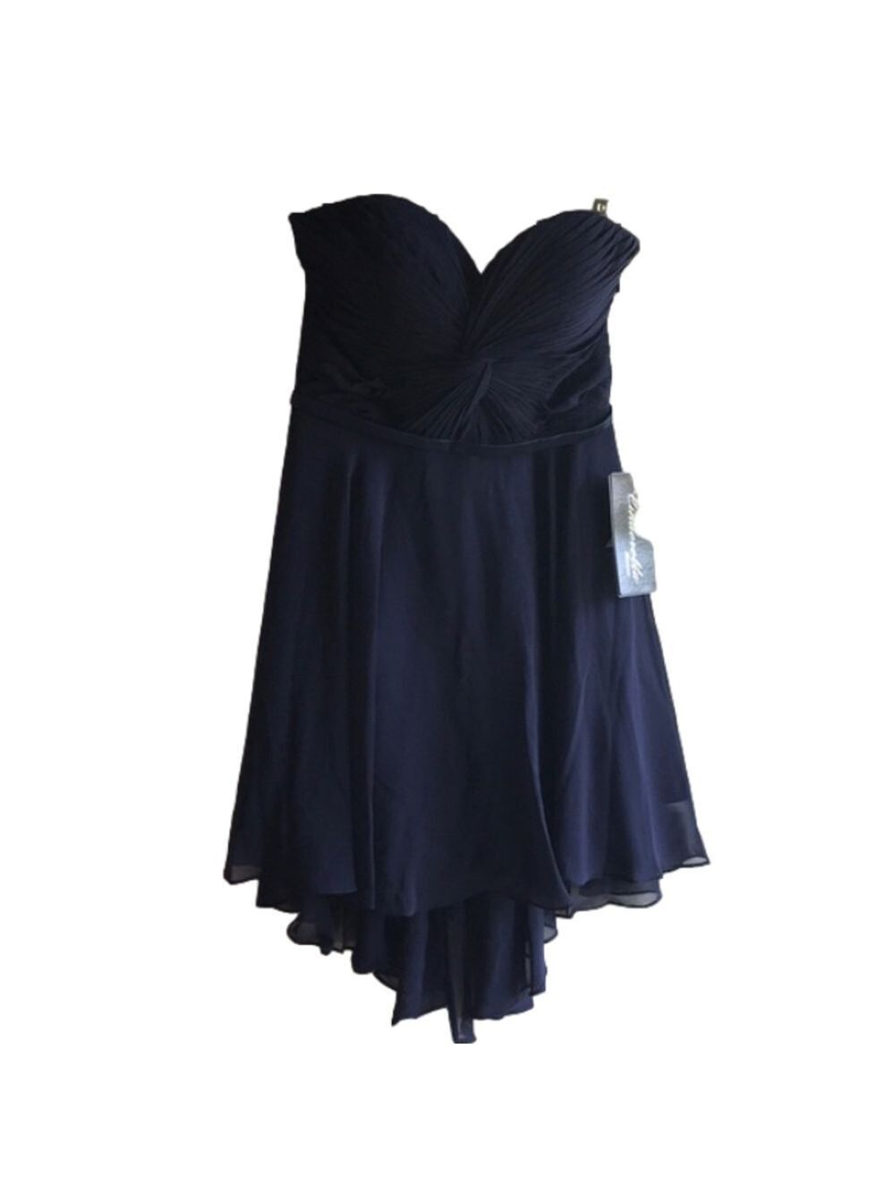NET Cinderella dress